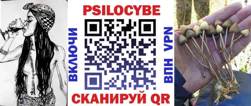 Купить где  Менделеевск  Псилоцибиновые грибы Magic Shrooms 